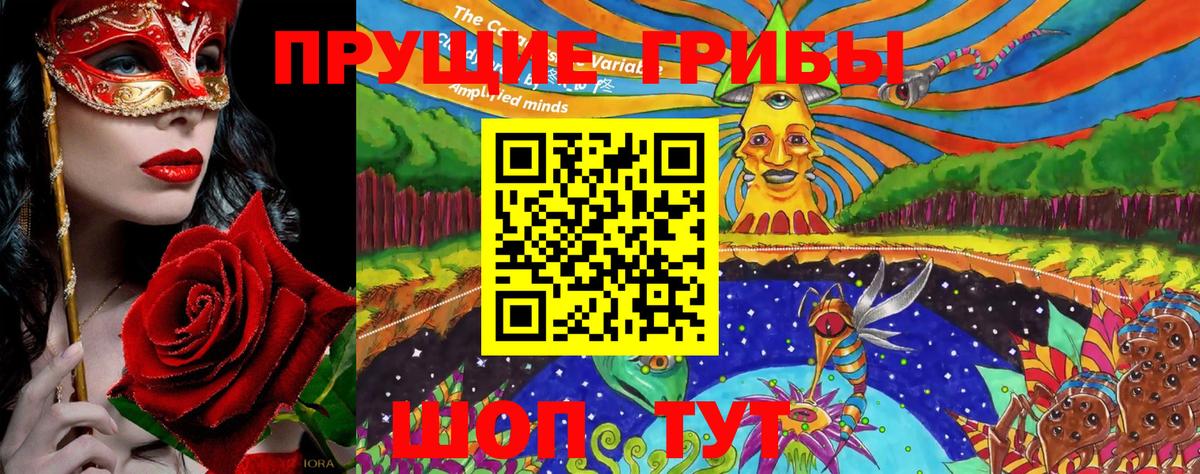 Самара  Псилоцибиновые грибы мухоморы  Вход с VPN 