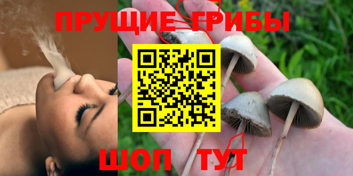 Псилоцибиновые грибы мицелий Самара